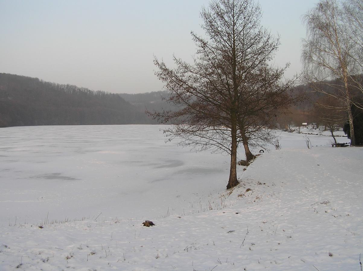 Kovacsszenaja Vendeghaz Villa ภายนอก รูปภาพ